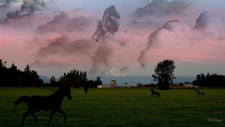 Ghost Horse Series #6 - clouds, trees, washington, mountain, fantasy, sunset, horses, farm, sky