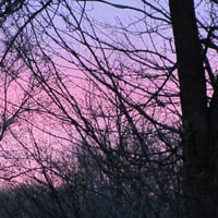 April Sunset, 2010