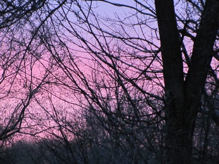 April Sunset, 2010 - sky, sunset