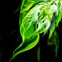 Abstract leaf