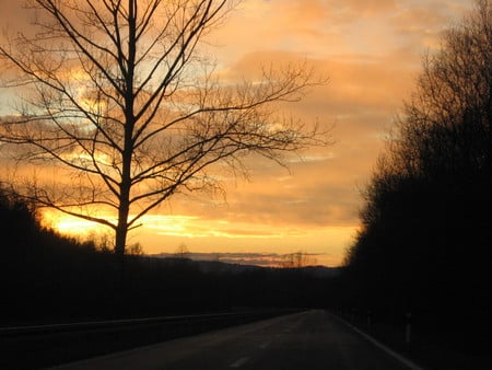 Open road - motovun, road, montona, istra