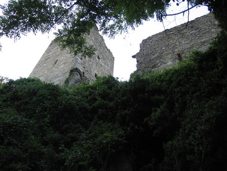 Momjan castle 1 - castle, istra, medieval, momjan, momiano