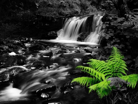 Beautiful. jpg - water, waterfall, rocks, creek