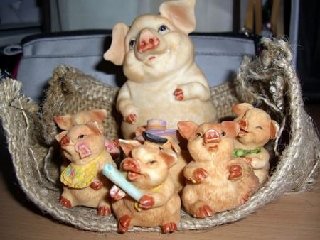 THE FOUR LITTLE PIGS - adorable, cute, piglets