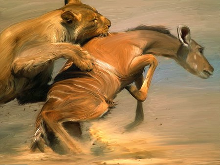 Survival - hunting, antelope, lion, survival, animals, kill, attack, lioness