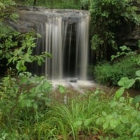 Forest Waterfall