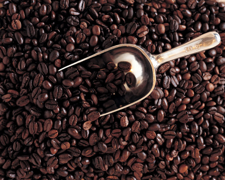 Coffee Beans with Scooper - photo, beans, coffee