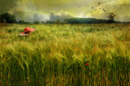 Hiding - abstract, woman, fields, green, girl, 3d, art