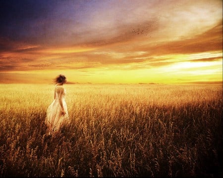 Field of gold - white, woman, standing, golden, field, sunset, dress