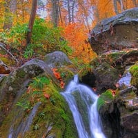 Beautiful Waterfall