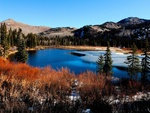 colorado spring