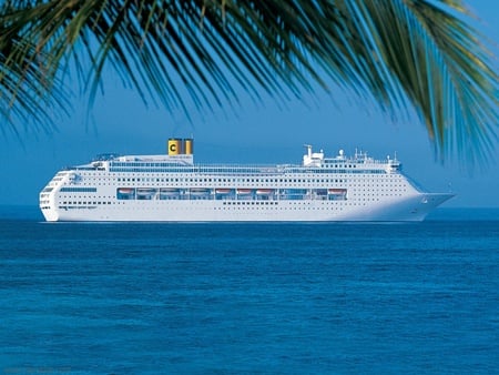 Cruise Ship