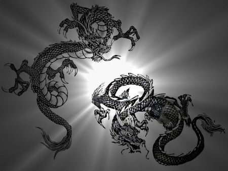 Chinese-Dragons - abstract