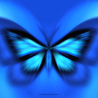 Butterfly Blue