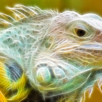 Electric Iguana