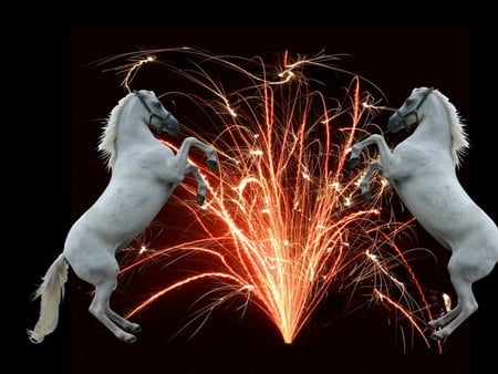 fountain-of-fire-with-two-rearing-horses - animals