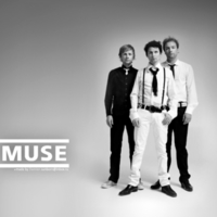 Muse Wallpapers - Page 3 - Desktop Nexus