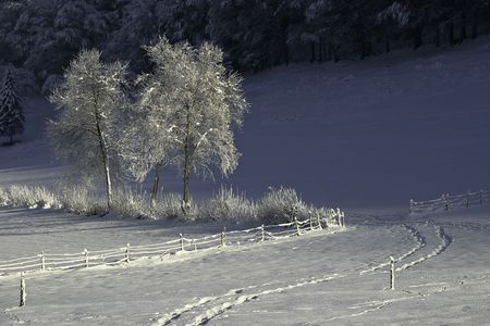 Landscape between Orvin and Lamboing - lamboing, orvin, winter, landscape, snow, night, switzerland