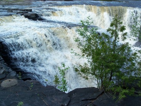 Tree beside the falls - waterfalls, water, nature, rock, tree