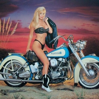 1950 Harley Davidson FL panhead