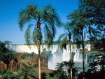 Iguazu Falls Argentina