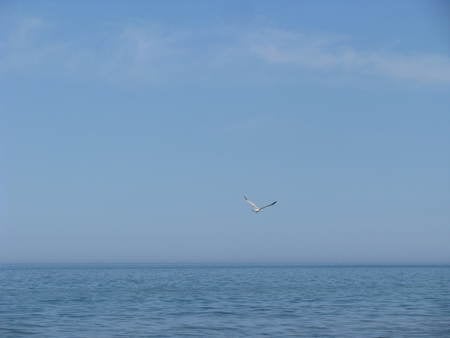 Black Sea - sea, nature, beach