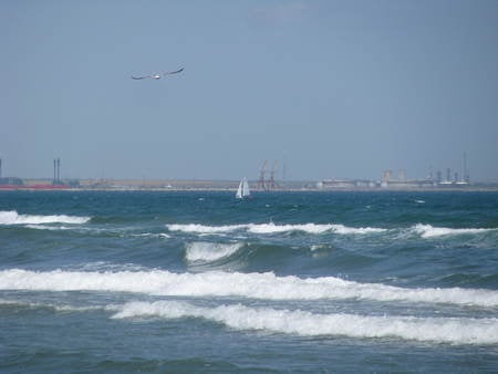 Black Sea - beach, nature, sea