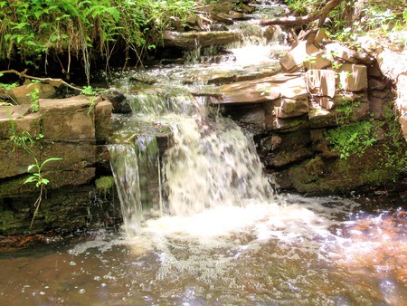 Little waterfalls on a creek in the forest - water, waterfalls, forest, creek