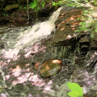 beautiful waterfalls in the forest