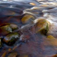 Rocky Mountain Stream