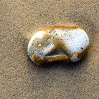 Pebble in the sand