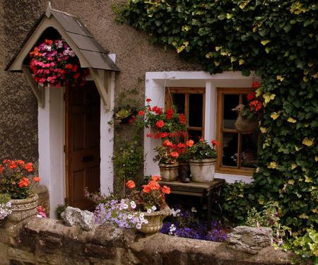 With lots of charm - flowers, quaint, door, flowerpot, windows, plants, cozy, cottage