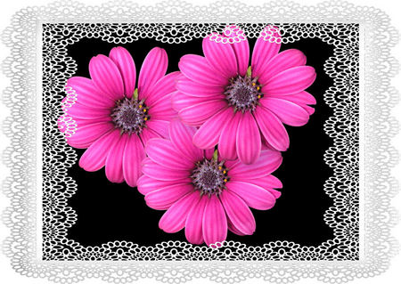 flowered frame - frame, lace, night, flower, pink