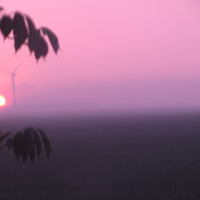 Dutch Sunset