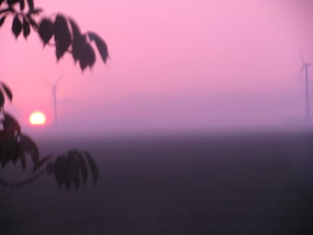 Dutch Sunset - holland, sunset, view, evening, dutch