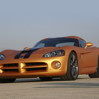 Gold Viper