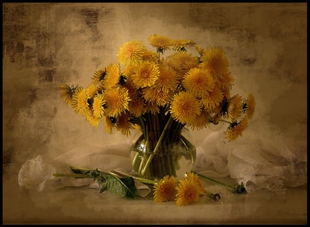 Languish beauty - dandelions, glass, stems, water, vase, cloth, yellow, petals, beautiful, lace, rustic