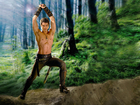 Legend of the Seeker - legend of the seeker, craig horner