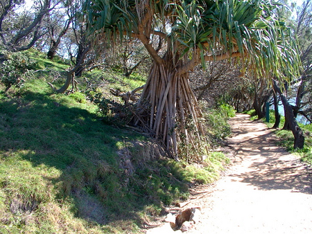  Noosa National Park Australia - park, noosa, australia, national