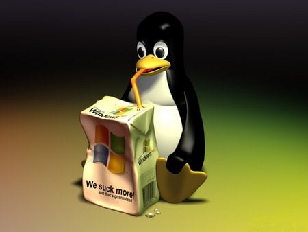 Juice Penguin - funny, windows, juice, other, animals, penguin