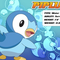 Piplup Info