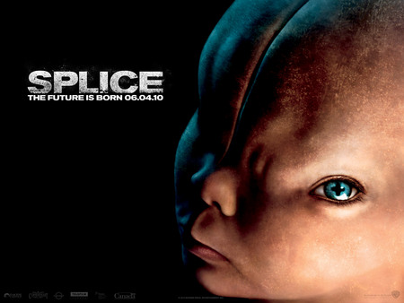 Splice - movie, splice