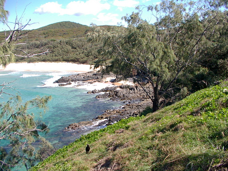 Beach Noosa National Park Australia - hills, blue, beach, sand, noosa, surf, sky, sun, clouds, national park, trees, relaxing, beautiful, sea, australia, green, peaceful