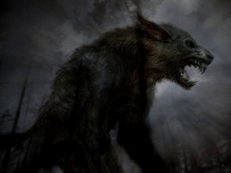 Werewolf - fantasy, wolfman, werewolf, creature