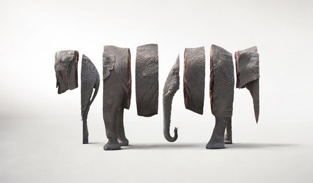 elephant - 3d and cg, abstract