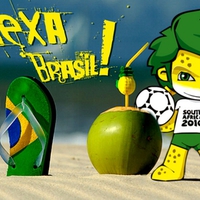 Brasil Hexa world cup 2010