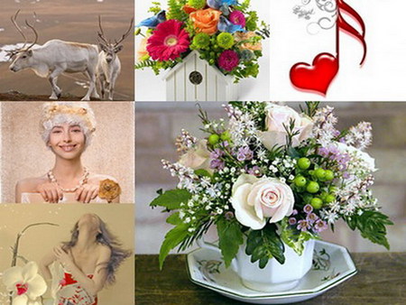 floral collage - flowers, music, deer, collage, beauty