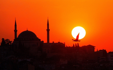 Atardecer desde el Puente Glata en Estambul. - istanbul, galata, mosque, turkey