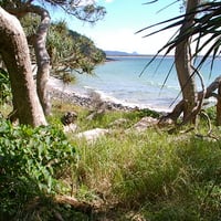 Beach Noosa National Park