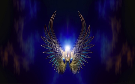 FIREBIRD - firebird, blue, wings